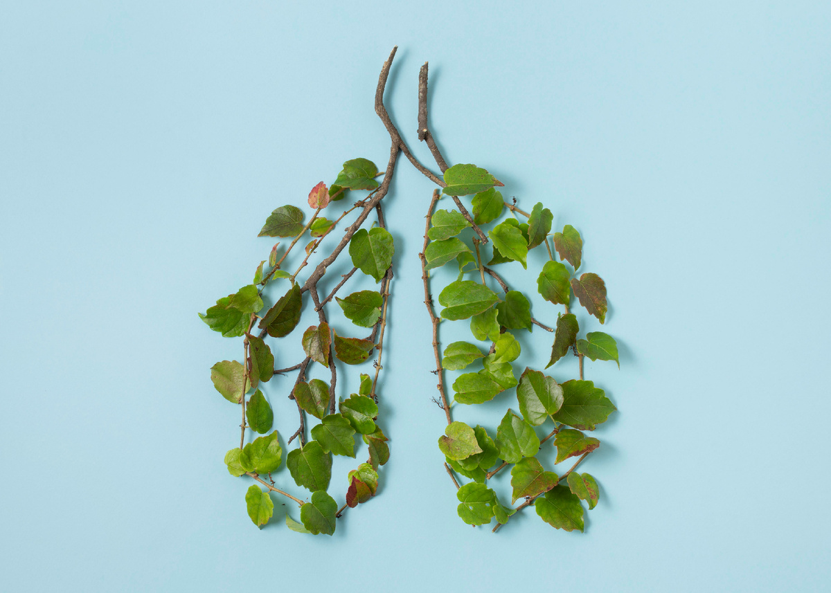 Изображение от freepik