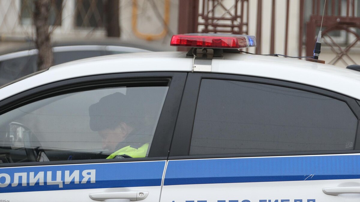    Фото: Pogiba Alexandra/globallookpress.com