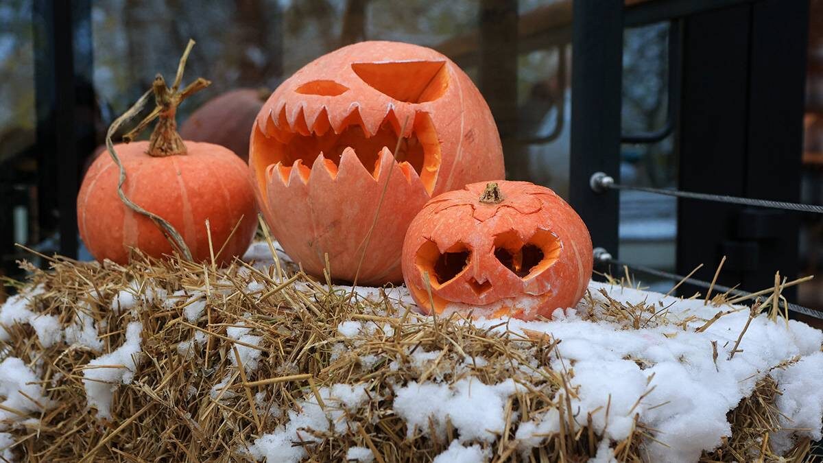    Фото: Ярослав Чингаев / АГН Москва