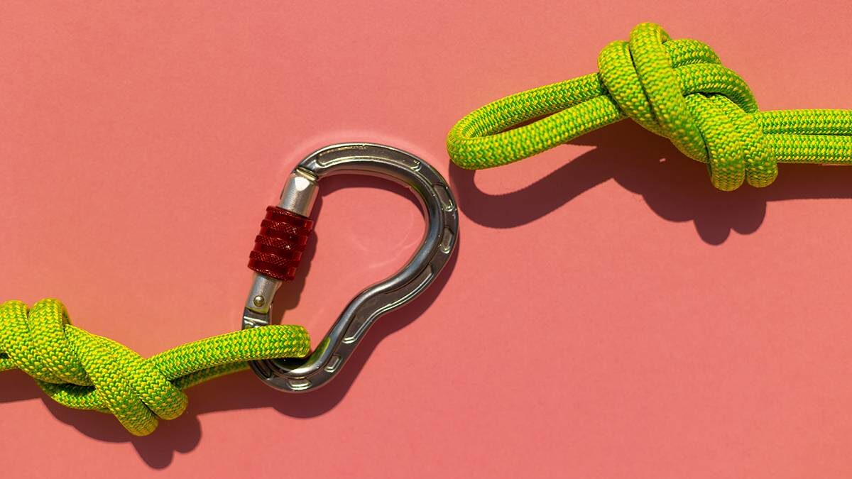    Фото: Shutterstock