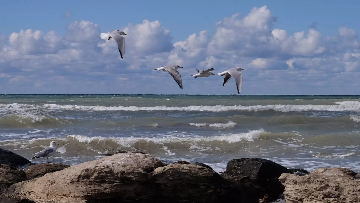 Каспийское море © Sputnik / Ольга Головко