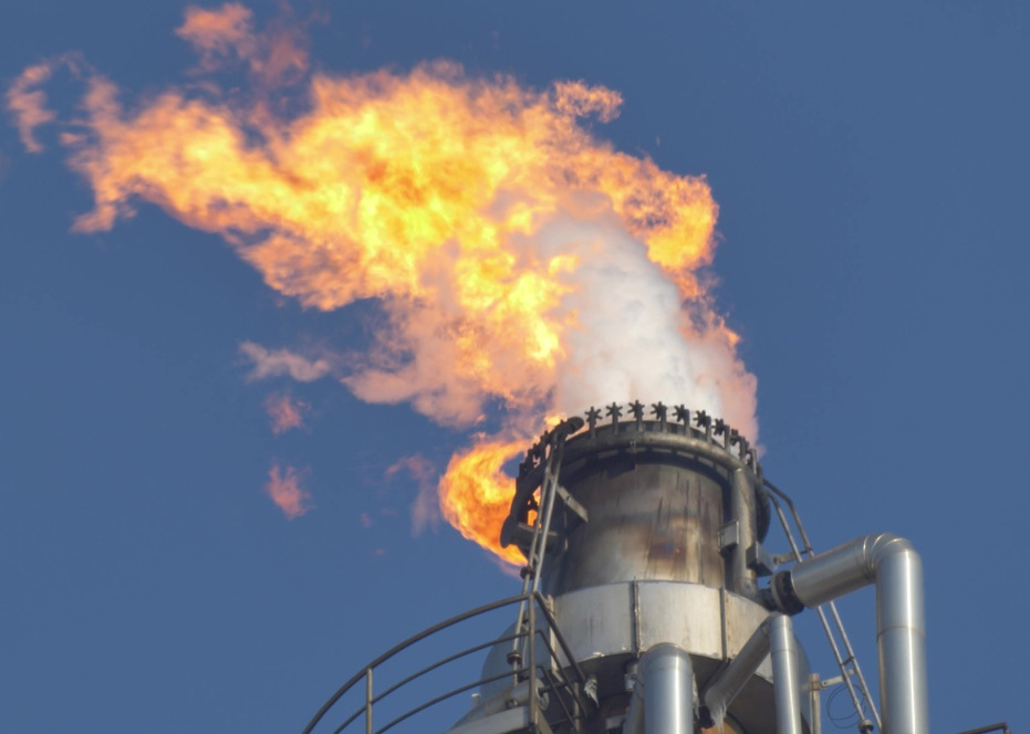    Shutterstock/FOTODOM