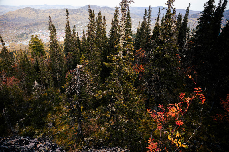 Фото: Anastasia Sorgina/GlobalLoolPress.