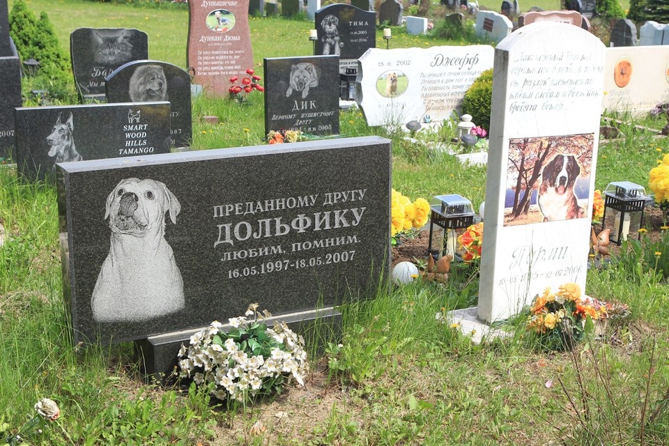    Фото: Руслан ВОРОНОЙ