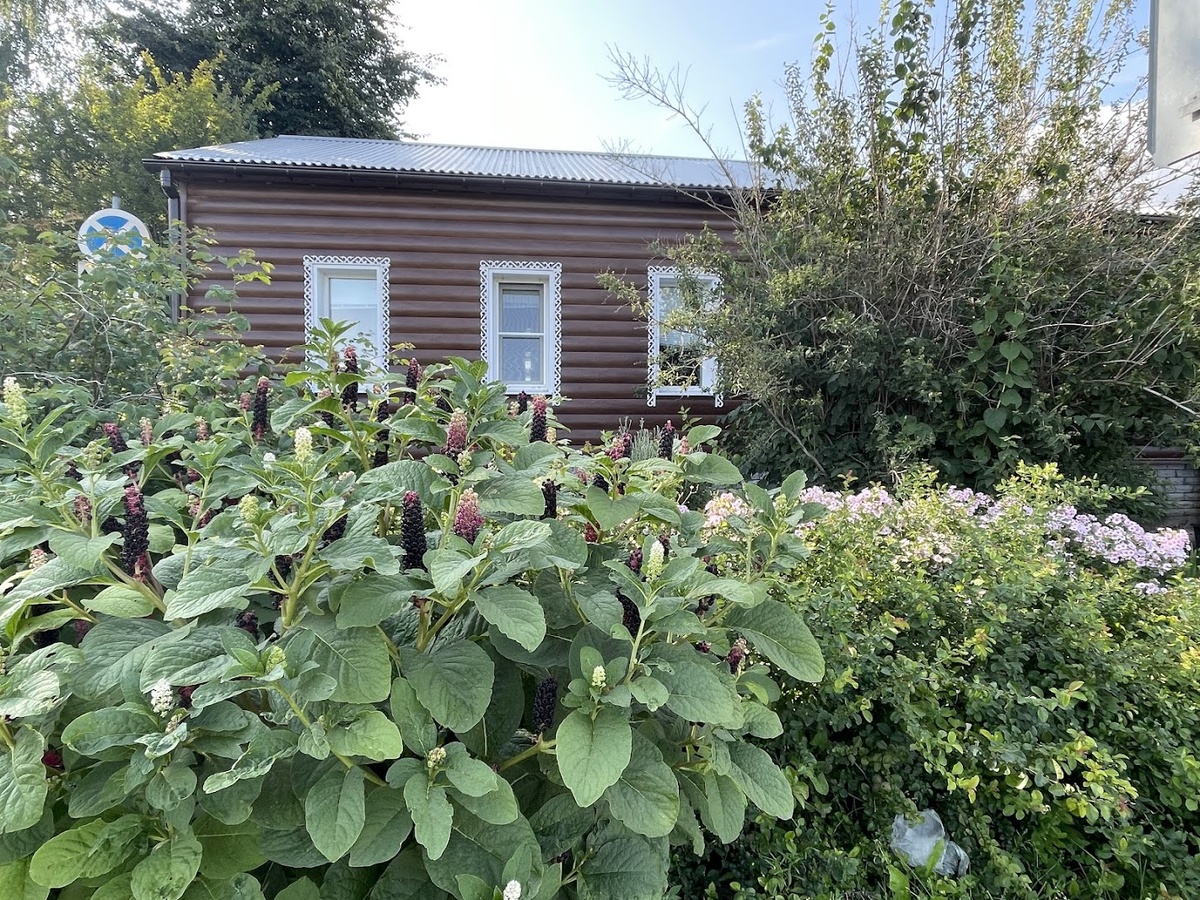 Симпатичный домик возле кремля