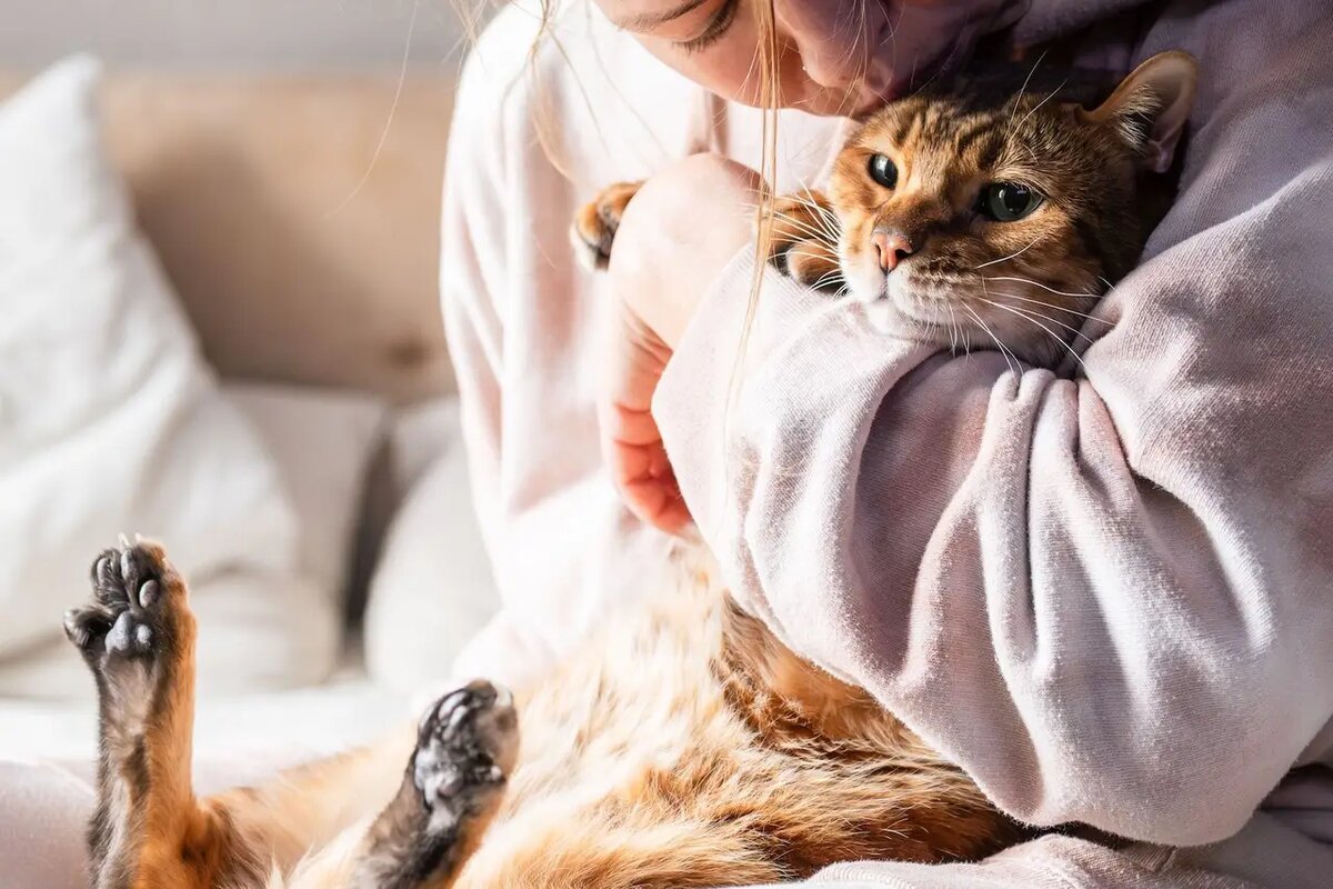    Активное общение с питомцем — это мощнейший инструмент для укрепления эмоциональной связи /pexels