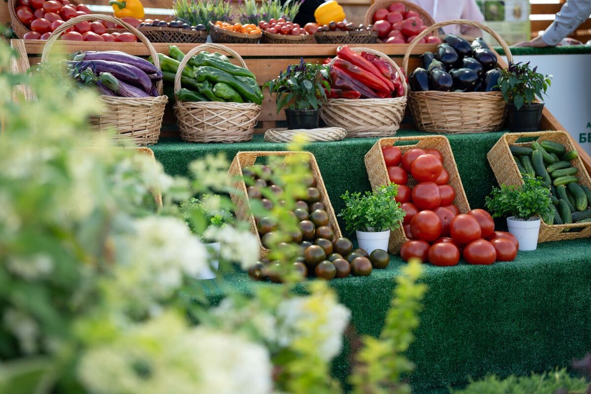 Фото: Александр Плонский / «Агроэксперт»