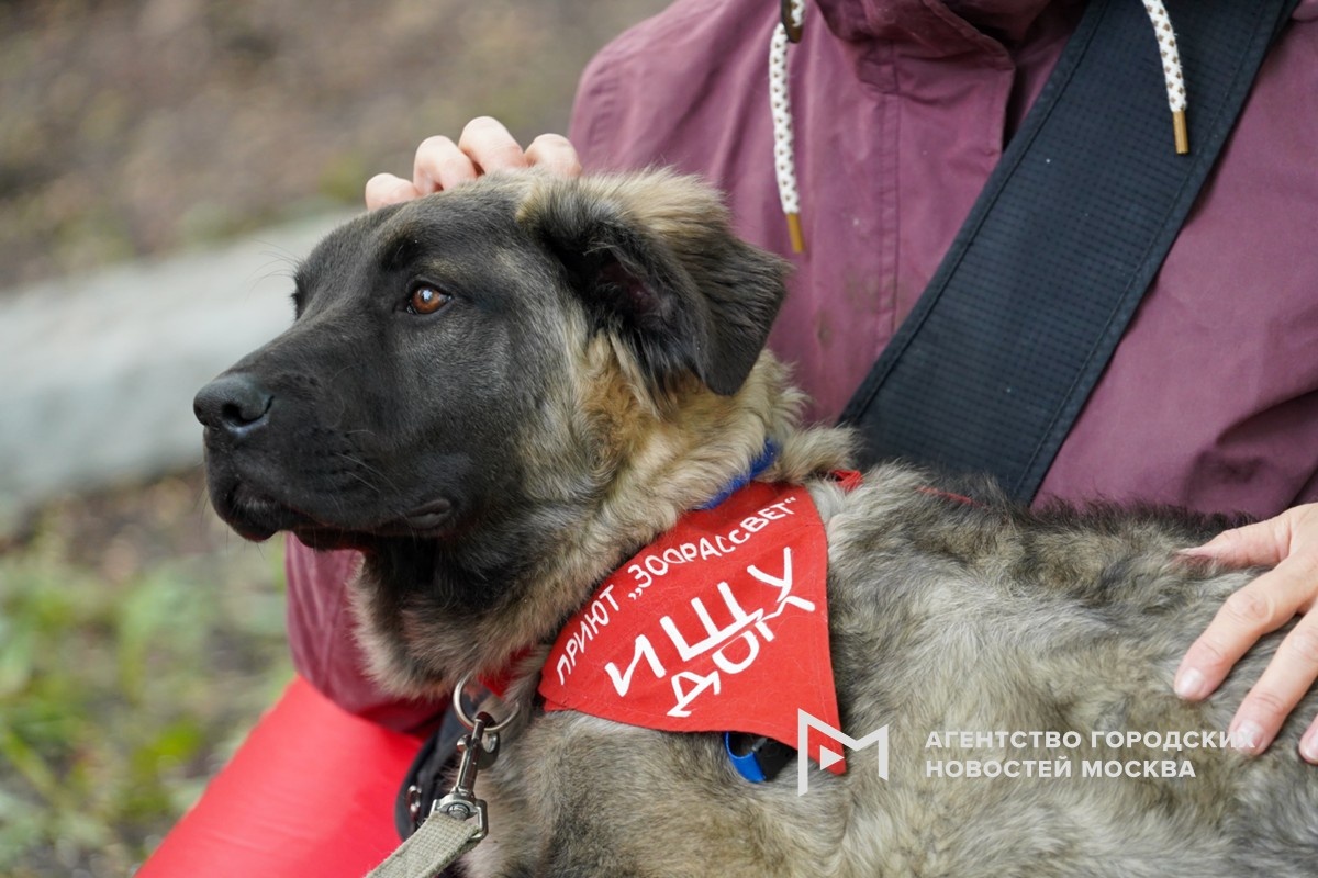 Фотограф: Пелагия Тихонова