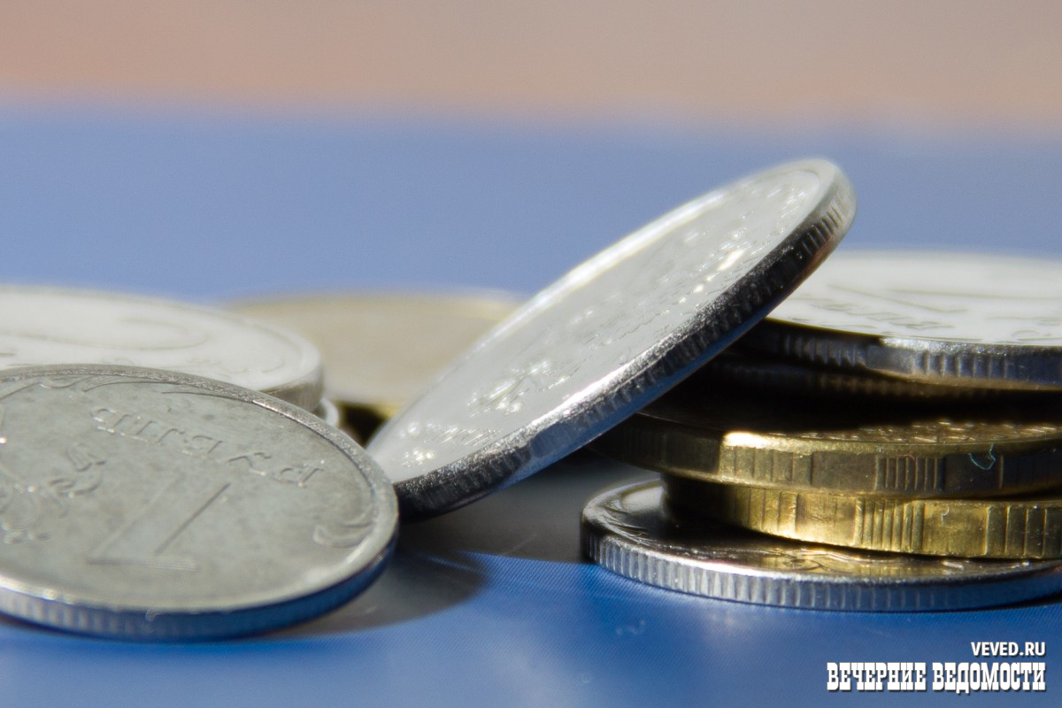     Фото: Андрей Гоголев / Вечерние ведомости