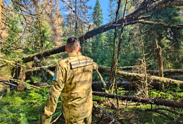 фото: t.me/kprlo