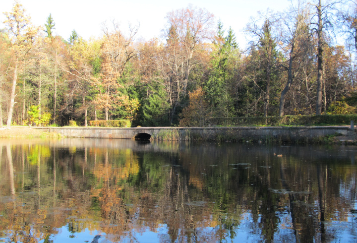 фото: pxhere.com