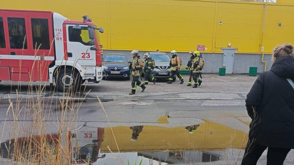    Фото: t.me/primor_online