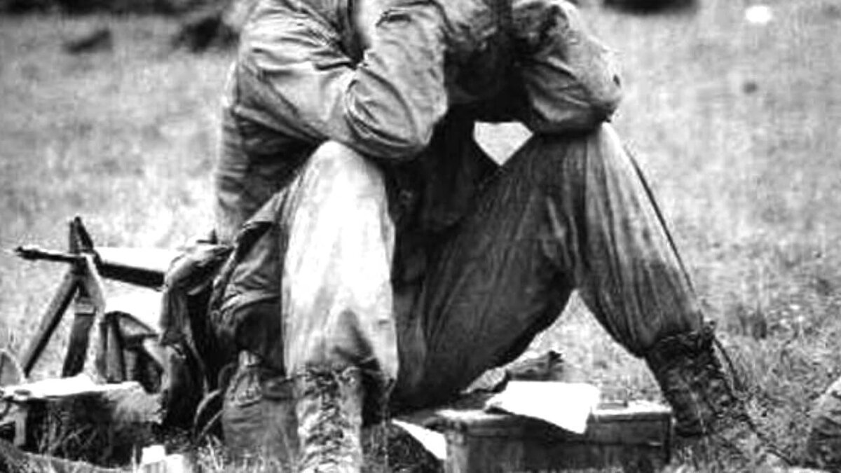 Яндекс картинки