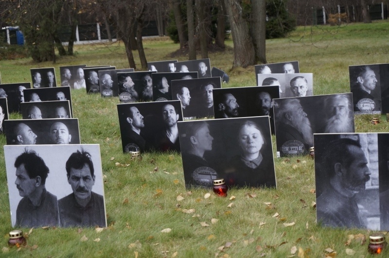 Яндекс картинки