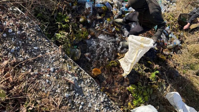     Священный родник в горе мусора на Алтае Телеграм-канал Barnaul 22