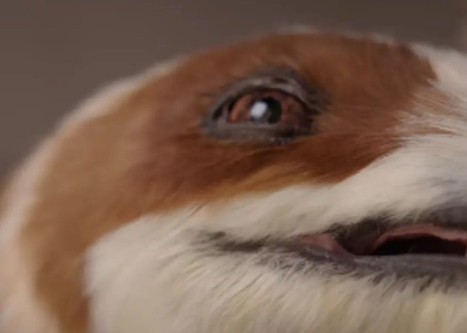    Китайская компания Dobot создала реалистичного робота-динозавра, который ходит, «дышит» и реагирует на людей