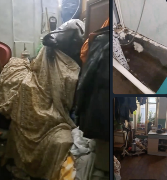 Фото взято из открытого источника