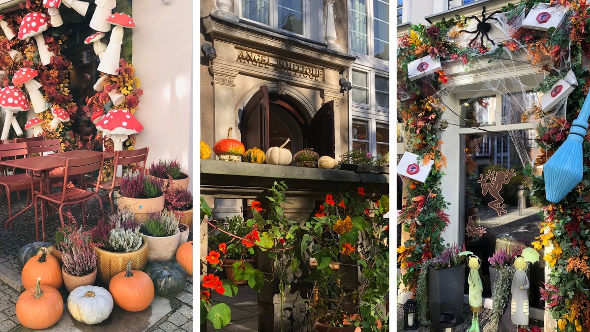 Хэллоуиновское оформление в Гданьске. Мне жутко понравилось кафе, оформленное письмами из Хогвартса (3-е фото)