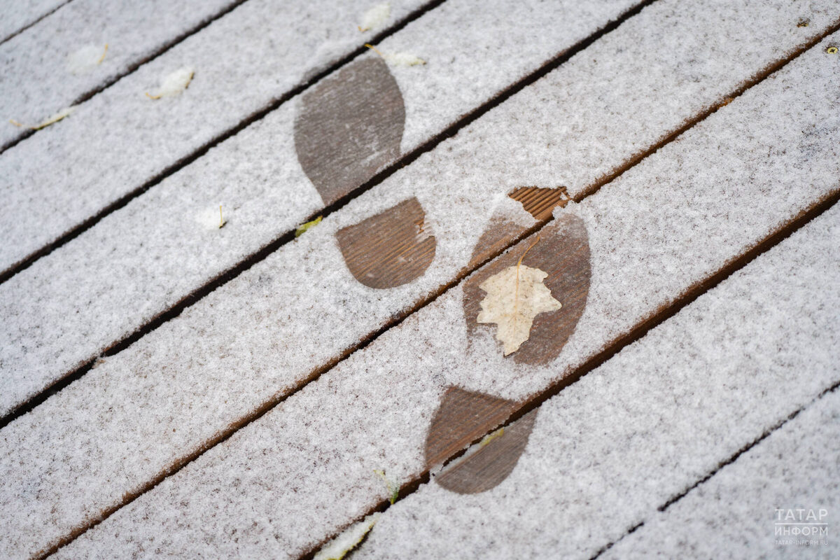 Фото: © Владимир Васильев / «Татар-информ»