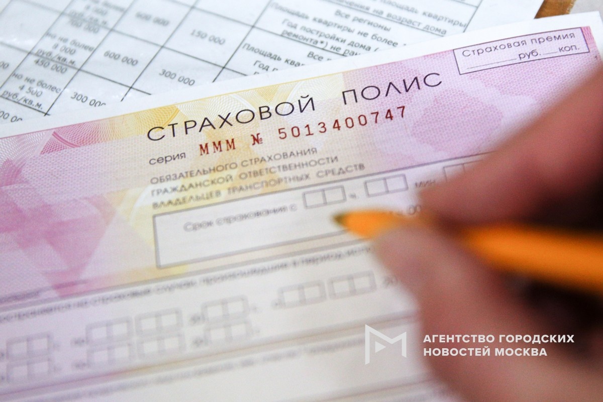 Фотограф: Кирилл Зыков