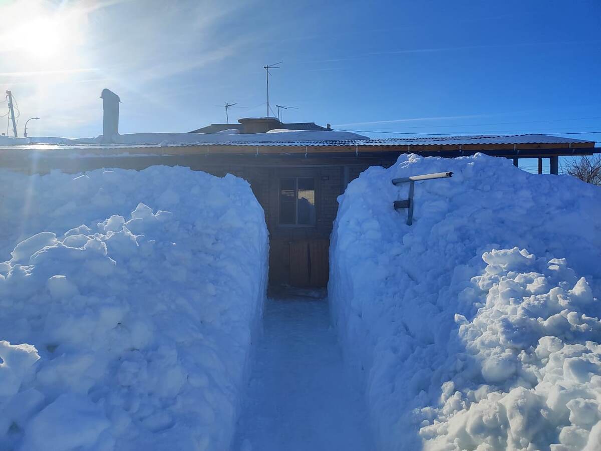 Фото из моего архива. Февраль 2024.