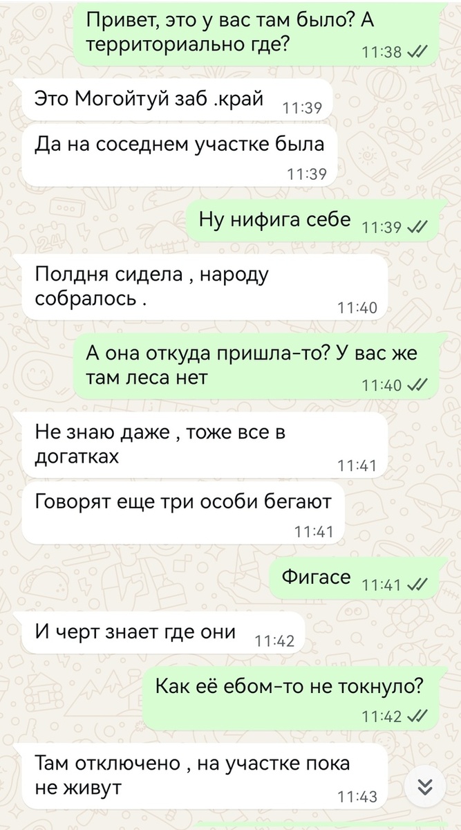 Листайте вправо, чтобы увидеть больше изображений