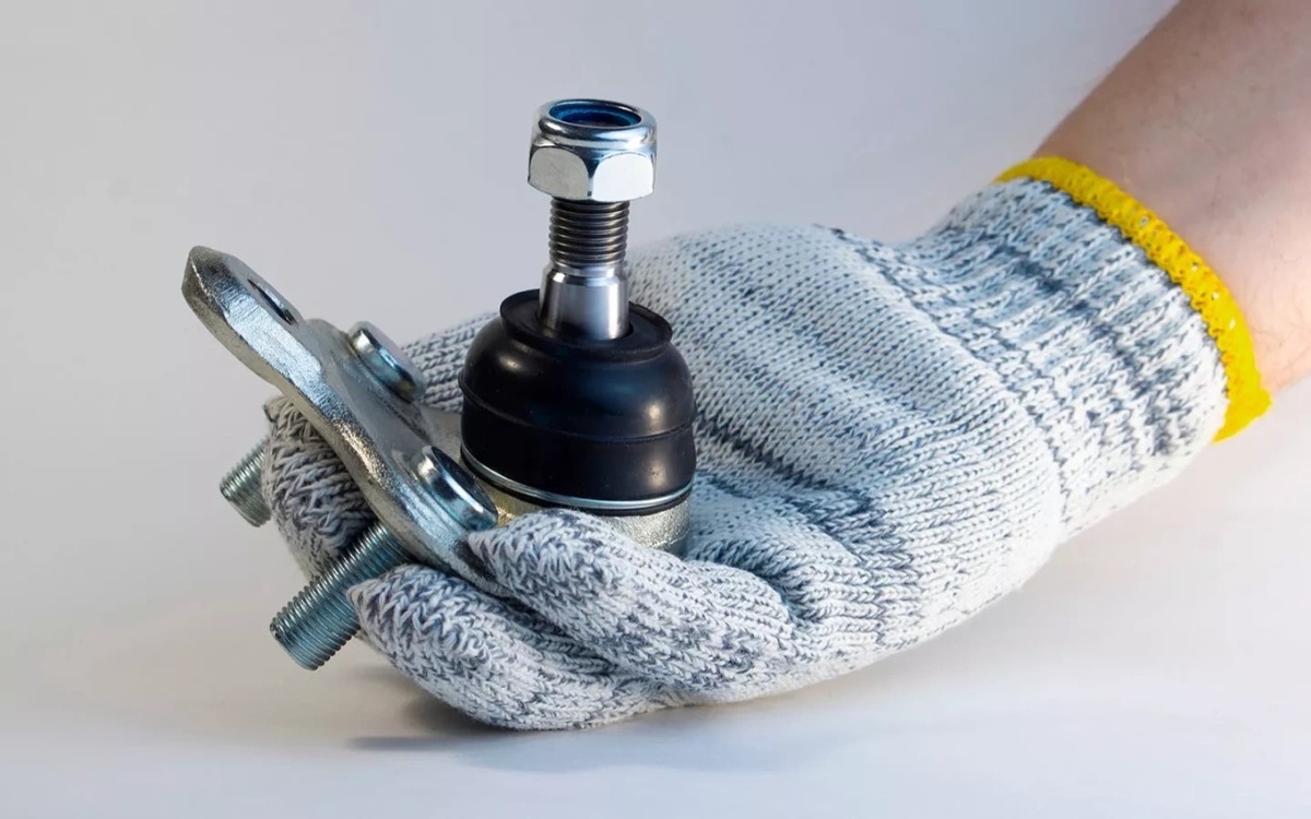 Фото: Shutterstock