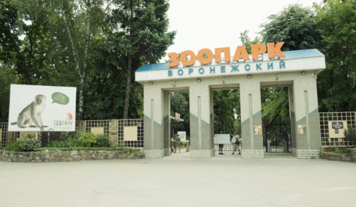     Воронежский зоопарк. Источник: vestivrn.ru Автор фото: Сайт Воронежского Зоопарка имени А.С. Попова