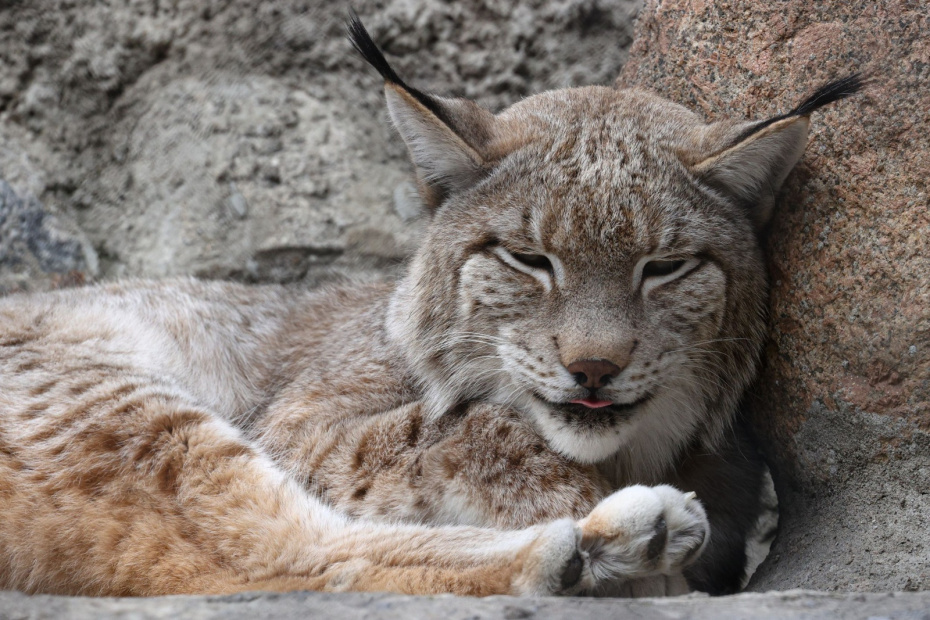    Сергей Булкин/NEWS.ru