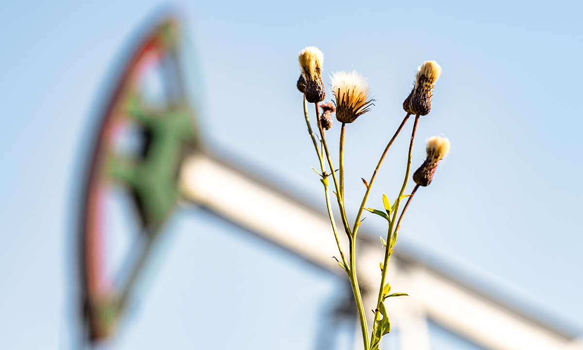 Климатические проекты Компании составляют половину всех зарегистрированных
в Национальном реестре углеродных единиц / фото пресс-службы Компании «Татнефть»