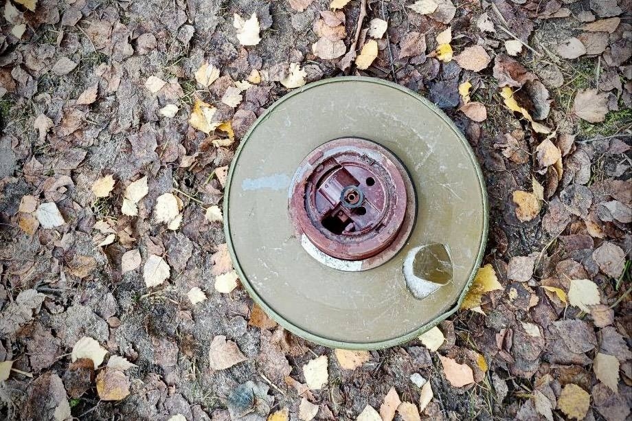    фото пресс-служба Росгвардии Костромской области