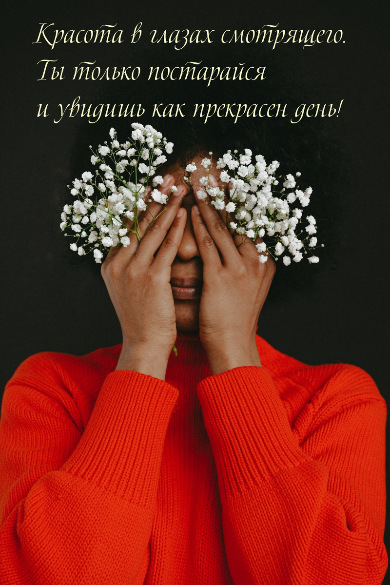 Картинка из свободного доступа на просторах Интернета 