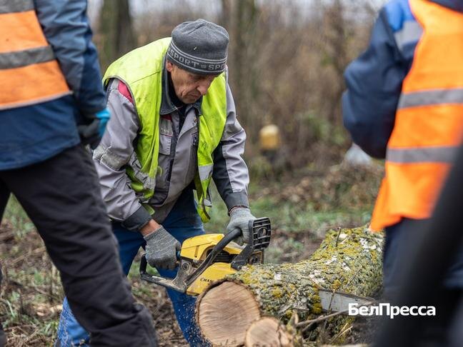 Фото: Алексей Дацковский