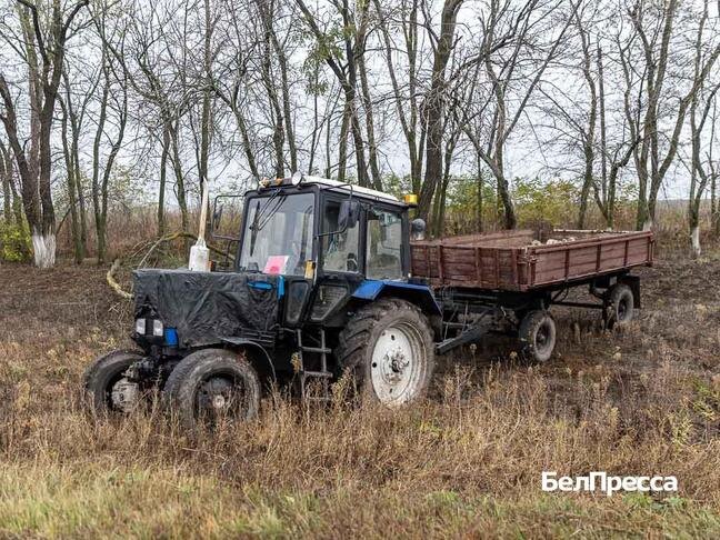 Фото: Алексей Дацковский