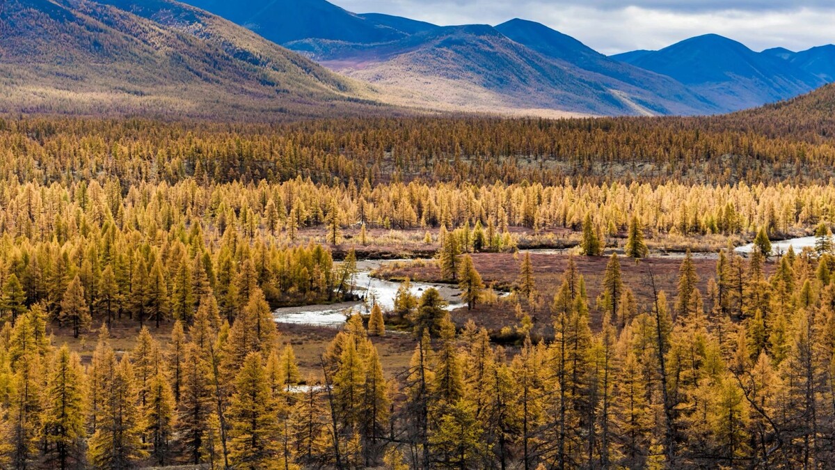    Фото: eastfootage/Shutterstock/Fotodom