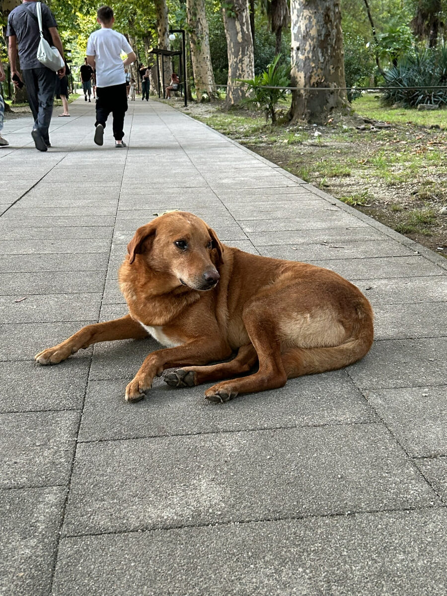    архив samaraonline24.ru