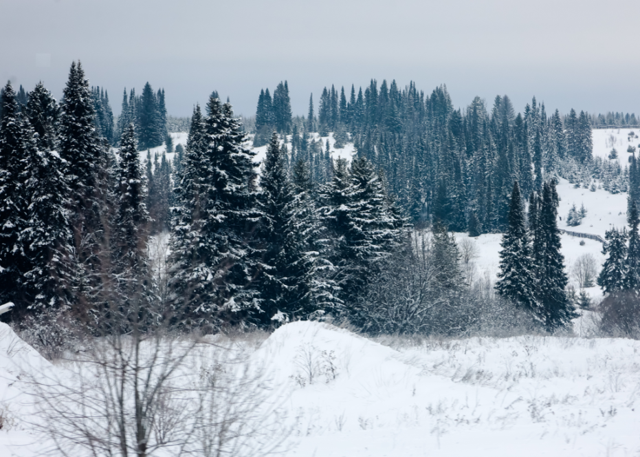    Elena Mayorova/Global Look Press