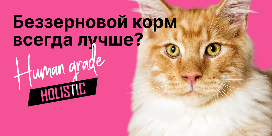 Беззерновой корм всегда лучше?