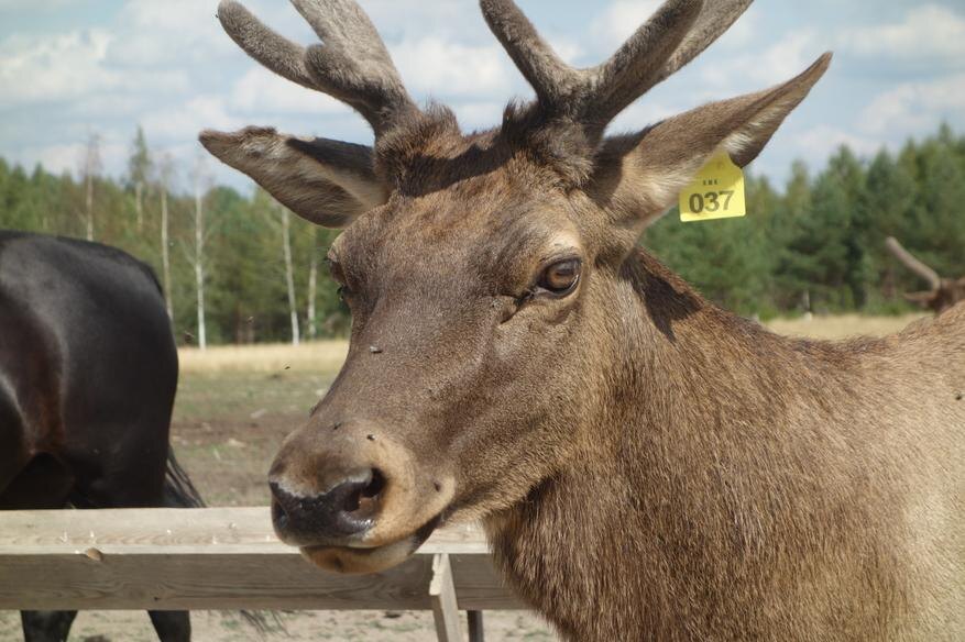 Автор: Собственное фото