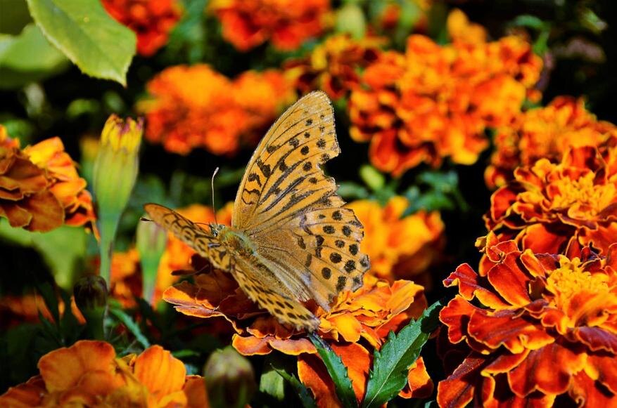 Автор: Собственное фото