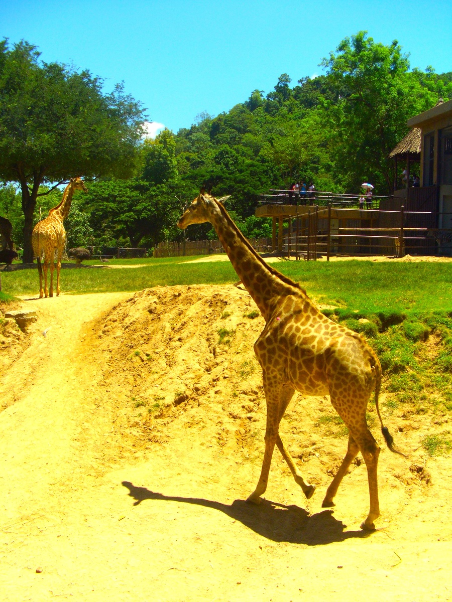 Фото из семейного архива.