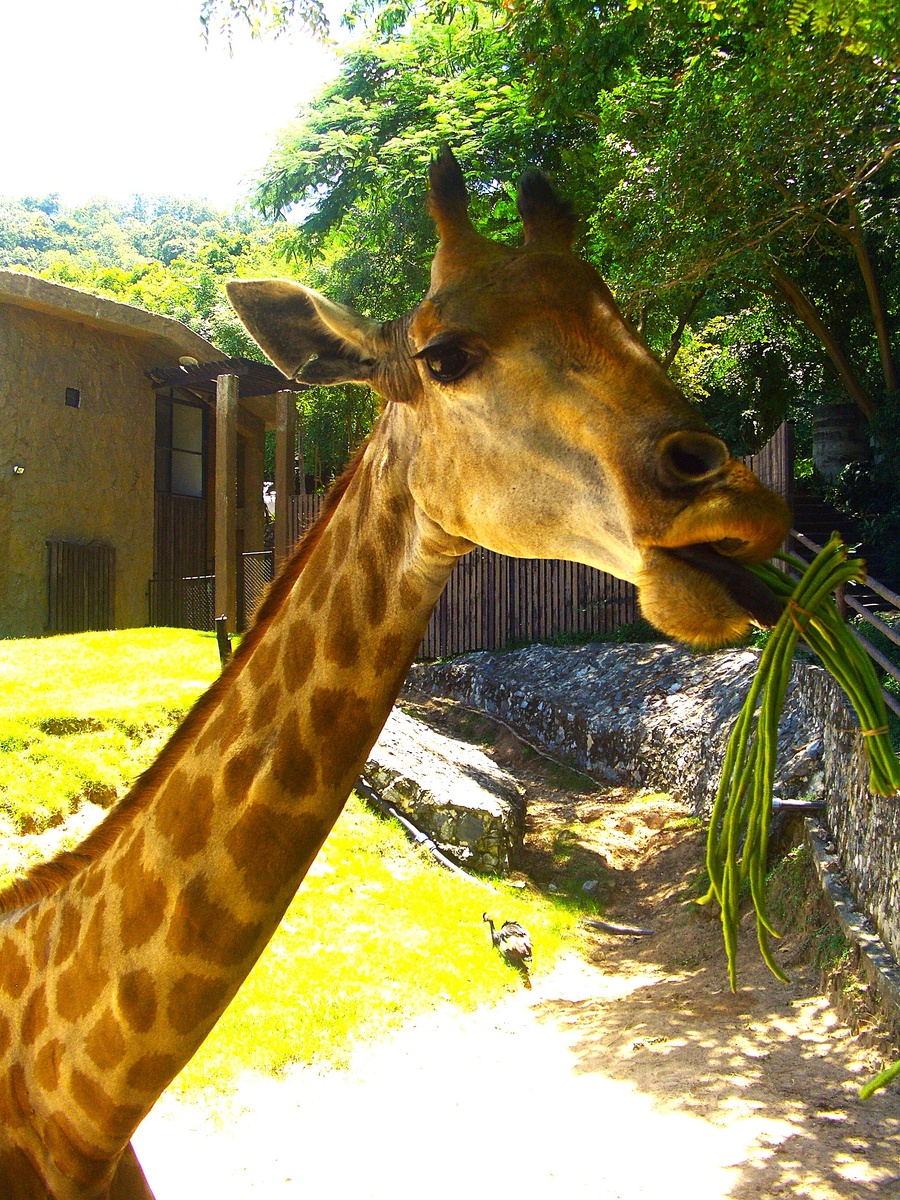 Фото из семейного архива.