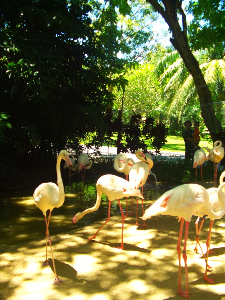 Фото из семейного архива.