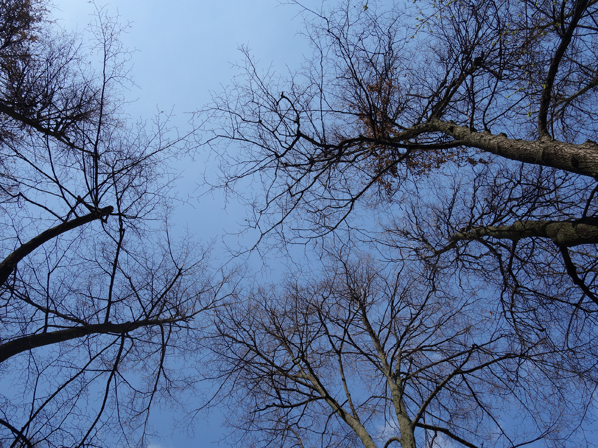 Источник: Портал «Моя Казань» / Камиль Хабибуллин