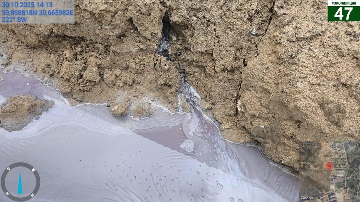    Фото: Комитет госэконадзора Ленобласти