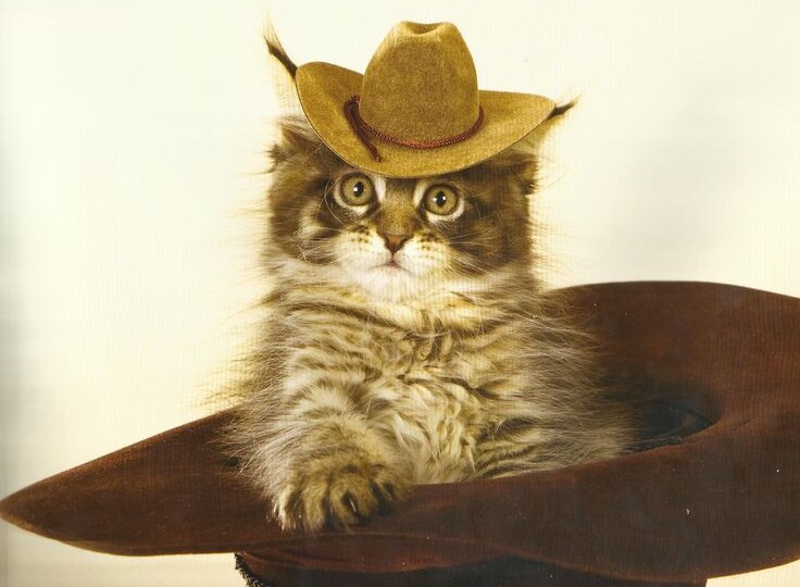 Вестерн с хвостиком