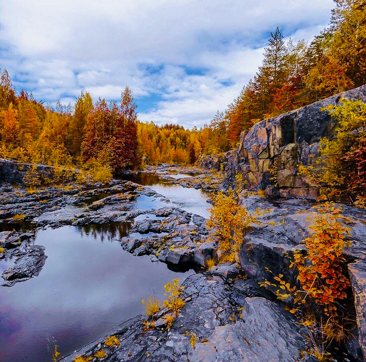 Карельский перешеек осень.
