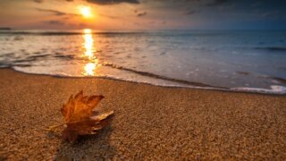    Pinterest Юлия Виноградова