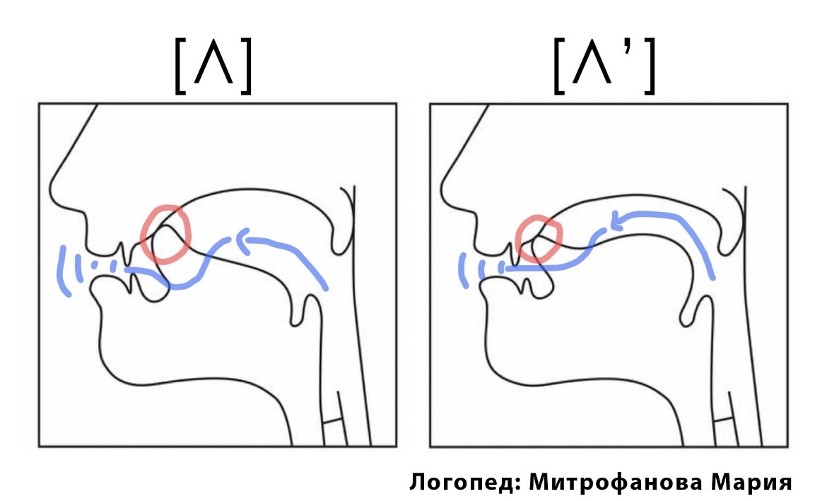 Особенности артикуляции мягкого и твердого звука «Л». Изображение автора статьи 