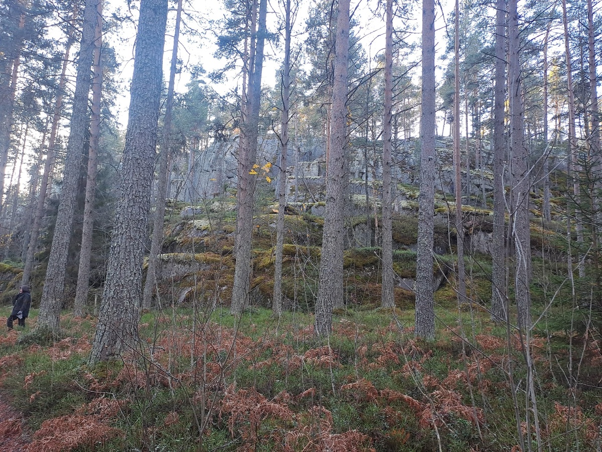    Питкяранта. ДПСО "Длинный Берег" / ВК